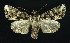  ( - NHMO-DAR-9212)  @13 [ ] CreativeCommons - Attribution Non-Commercial Share-Alike (2016) Unspecified University of Oslo, Natural History Museum