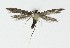 ( - NHMO-DAR-9242)  @12 [ ] CreativeCommons - Attribution Non-Commercial Share-Alike (2016) Unspecified University of Oslo, Natural History Museum