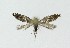  ( - NHMO-DAR-9250)  @13 [ ] CreativeCommons - Attribution Non-Commercial Share-Alike (2016) Unspecified University of Oslo, Natural History Museum