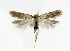  ( - NHMO-DAR-5452)  @13 [ ] Copyright (2015) Unspecified University of Oslo, Natural History Museum