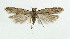  ( - NHMO-DAR-5482)  @14 [ ] Copyright (2015) Unspecified University of Oslo, Natural History Museum