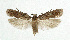  ( - NHMO-DAR-5519)  @14 [ ] Copyright (2015) Unspecified University of Oslo, Natural History Museum