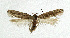  ( - NHMO-DAR-5538)  @12 [ ] Copyright (2015) Unspecified University of Oslo, Natural History Museum