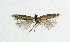  ( - NHMO-DAR-5549)  @13 [ ] Copyright (2015) Unspecified University of Oslo, Natural History Museum