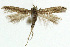  ( - NHMO-DAR-5550)  @11 [ ] Copyright (2015) Unspecified University of Oslo, Natural History Museum