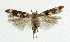  ( - NHMO-DAR-5555)  @13 [ ] Copyright (2015) Unspecified University of Oslo, Natural History Museum