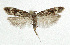  ( - NHMO-DAR-5567)  @14 [ ] Copyright (2015) Unspecified University of Oslo, Natural History Museum