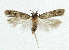 ( - NHMO-DAR-5569)  @13 [ ] Copyright (2015) Unspecified University of Oslo, Natural History Museum