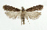  ( - NHMO-DAR-5602)  @14 [ ] Copyright (2015) Unspecified University of Oslo, Natural History Museum