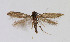  ( - NHMO-DAR-6077)  @14 [ ] Copyright (2015) Unspecified University of Oslo, Natural History Museum