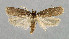  ( - NHMO-DAR-6218)  @14 [ ] Copyright (2015) Unspecified University of Oslo, Natural History Museum