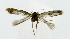  ( - NHMO-DAR-6280)  @12 [ ] Copyright (2015) Unspecified University of Oslo, Natural History Museum