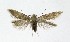  ( - NHMO-DAR-9472)  @13 [ ] CreativeCommons - Attribution Non-Commercial Share-Alike (2016) Unspecified University of Oslo, Natural History Museum