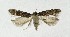  ( - NHMO-DAR-9521)  @13 [ ] CreativeCommons - Attribution Non-Commercial Share-Alike (2016) Unspecified University of Oslo, Natural History Museum