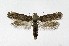  ( - NHMO-DAR-9545)  @13 [ ] CreativeCommons - Attribution Non-Commercial Share-Alike (2016) Unspecified University of Oslo, Natural History Museum