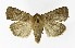  ( - NHMO-DAR-9580)  @14 [ ] CreativeCommons - Attribution Non-Commercial Share-Alike (2016) Unspecified University of Oslo, Natural History Museum