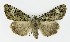  ( - NHMO-DAR-9614)  @14 [ ] CreativeCommons - Attribution Non-Commercial Share-Alike (2016) Unspecified University of Oslo, Natural History Museum