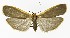  ( - NHMO-DAR-9737)  @13 [ ] CreativeCommons - Attribution Non-Commercial Share-Alike (2016) Unspecified University of Oslo, Natural History Museum