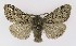  ( - NHMO-DAR-9768)  @14 [ ] CreativeCommons - Attribution Non-Commercial Share-Alike (2016) Unspecified University of Oslo, Natural History Museum