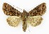  ( - NHMO-DAR-9818)  @14 [ ] CreativeCommons - Attribution Non-Commercial Share-Alike (2016) Unspecified University of Oslo, Natural History Museum