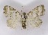  ( - NHMO-DAR-10136)  @14 [ ] CreativeCommons - Attribution Non-Commercial Share-Alike (2016) Unspecified University of Oslo, Natural History Museum