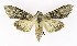  ( - NHMO-DAR-9840)  @14 [ ] CreativeCommons - Attribution Non-Commercial Share-Alike (2016) Unspecified University of Oslo, Natural History Museum