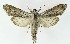  ( - NHMO-DAR-9842)  @14 [ ] CreativeCommons - Attribution Non-Commercial Share-Alike (2016) Unspecified University of Oslo, Natural History Museum