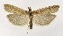  ( - NHMO-DAR-10192)  @14 [ ] CreativeCommons - Attribution Non-Commercial Share-Alike (2016) Unspecified University of Oslo, Natural History Museum