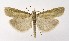  ( - NHMO-DAR-9980)  @11 [ ] CreativeCommons - Attribution Non-Commercial Share-Alike (2016) Unspecified University of Oslo, Natural History Museum