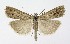 ( - NHMO-DAR-9982)  @14 [ ] CreativeCommons - Attribution Non-Commercial Share-Alike (2016) Unspecified University of Oslo, Natural History Museum