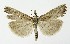  ( - NHMO-DAR-9983)  @13 [ ] CreativeCommons - Attribution Non-Commercial Share-Alike (2016) Unspecified University of Oslo, Natural History Museum