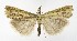  ( - NHMO-DAR-9999)  @14 [ ] CreativeCommons - Attribution Non-Commercial Share-Alike (2016) Unspecified University of Oslo, Natural History Museum