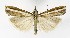  ( - NHMO-DAR-10005)  @14 [ ] CreativeCommons - Attribution Non-Commercial Share-Alike (2016) Unspecified University of Oslo, Natural History Museum