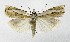  ( - NHMO-DAR-10011)  @14 [ ] CreativeCommons - Attribution Non-Commercial Share-Alike (2016) Unspecified University of Oslo, Natural History Museum