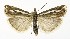  ( - NHMO-DAR-10012)  @13 [ ] CreativeCommons - Attribution Non-Commercial Share-Alike (2016) Unspecified University of Oslo, Natural History Museum