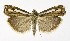  ( - NHMO-DAR-10013)  @13 [ ] CreativeCommons - Attribution Non-Commercial Share-Alike (2016) Unspecified University of Oslo, Natural History Museum