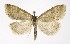  ( - NHMO-DAR-10044)  @12 [ ] CreativeCommons - Attribution Non-Commercial Share-Alike (2016) Unspecified University of Oslo, Natural History Museum