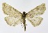  ( - NHMO-DAR-10045)  @13 [ ] CreativeCommons - Attribution Non-Commercial Share-Alike (2016) Unspecified University of Oslo, Natural History Museum