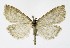  ( - NHMO-DAR-10047)  @13 [ ] CreativeCommons - Attribution Non-Commercial Share-Alike (2016) Unspecified University of Oslo, Natural History Museum