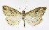  ( - NHMO-DAR-10052)  @14 [ ] CreativeCommons - Attribution Non-Commercial Share-Alike (2016) Unspecified University of Oslo, Natural History Museum