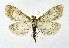  ( - NHMO-DAR-10082)  @13 [ ] CreativeCommons - Attribution Non-Commercial Share-Alike (2016) Unspecified University of Oslo, Natural History Museum