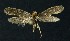  ( - NHMO-DAR-10108)  @13 [ ] CreativeCommons - Attribution Non-Commercial Share-Alike (2016) Unspecified University of Oslo, Natural History Museum