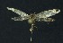  ( - NHMO-DAR-10113)  @13 [ ] CreativeCommons - Attribution Non-Commercial Share-Alike (2016) Unspecified University of Oslo, Natural History Museum