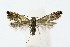  ( - NHMO-DAR-10211)  @13 [ ] CreativeCommons - Attribution Non-Commercial Share-Alike (2016) Unspecified University of Oslo, Natural History Museum