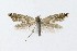 ( - NHMO-DAR-10221)  @13 [ ] CreativeCommons - Attribution Non-Commercial Share-Alike (2016) Unspecified University of Oslo, Natural History Museum