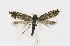  ( - NHMO-DAR-10224)  @14 [ ] CreativeCommons - Attribution Non-Commercial Share-Alike (2016) Unspecified University of Oslo, Natural History Museum