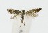  ( - NHMO-DAR-10226)  @14 [ ] CreativeCommons - Attribution Non-Commercial Share-Alike (2016) Unspecified University of Oslo, Natural History Museum