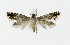  ( - NHMO-DAR-10132)  @13 [ ] CreativeCommons - Attribution Non-Commercial Share-Alike (2016) Unspecified University of Oslo, Natural History Museum