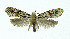  ( - NHMO-DAR-10325)  @13 [ ] CreativeCommons - Attribution Non-Commercial Share-Alike (2016) Unspecified University of Oslo, Natural History Museum