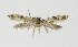 ( - NHMO-DAR-10328)  @13 [ ] CreativeCommons - Attribution Non-Commercial Share-Alike (2016) Unspecified University of Oslo, Natural History Museum